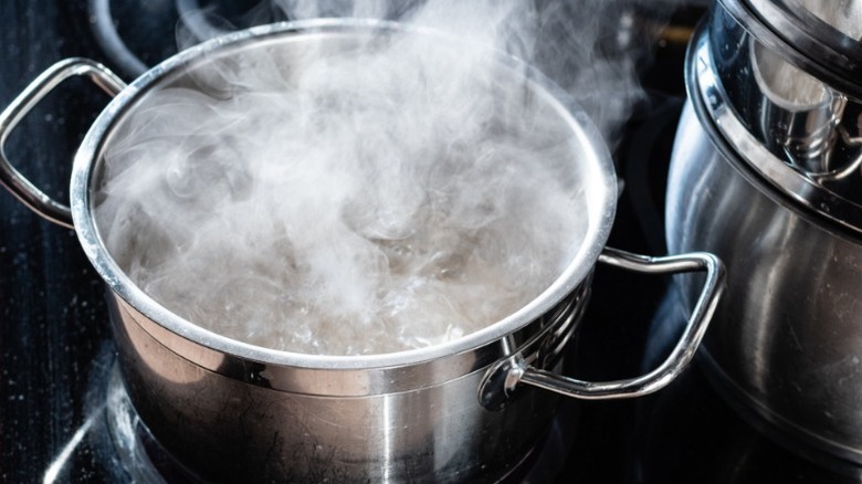 pot boiling on stove