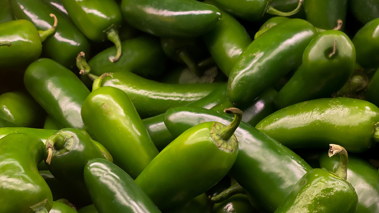 Fresh jalapenos