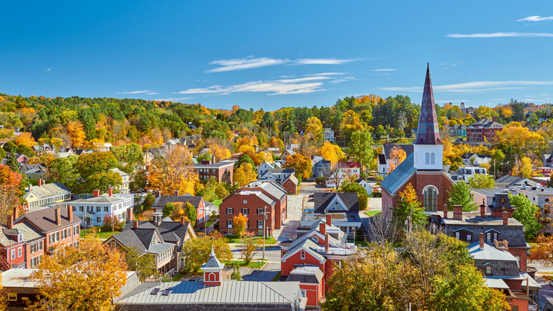 Montpelier skyline