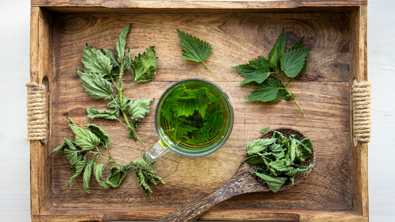 A mug of nettle tea served on a wooden tray.