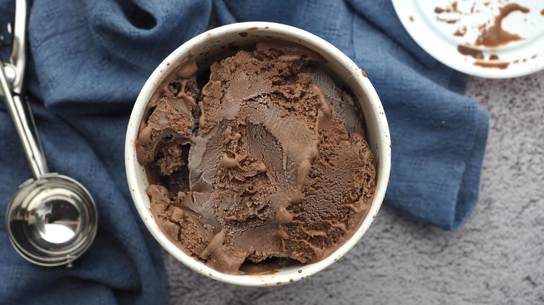 overview of chocolate ice cream pint with scoop