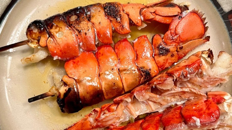 A close-up of grilled lobster tails on skewers on a plate.