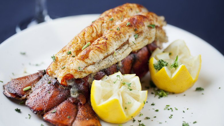 Grilled lobster tail garnished with lemon on a plate