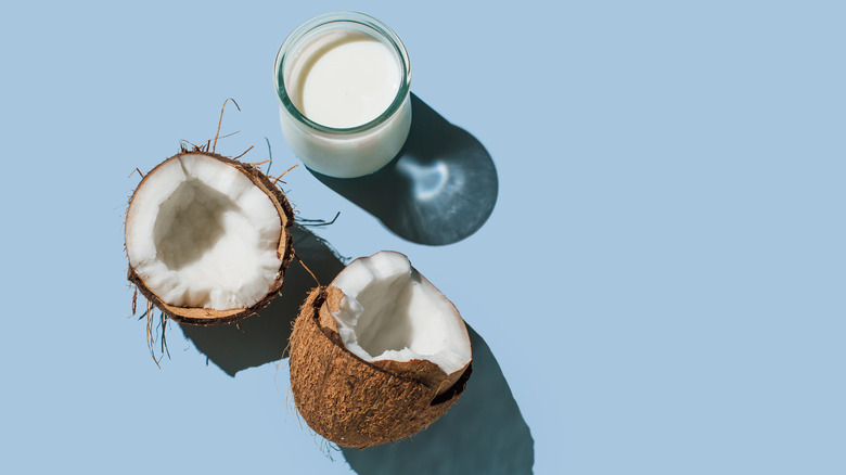 A glass of coconut milk next to a broken coconut on a blue background