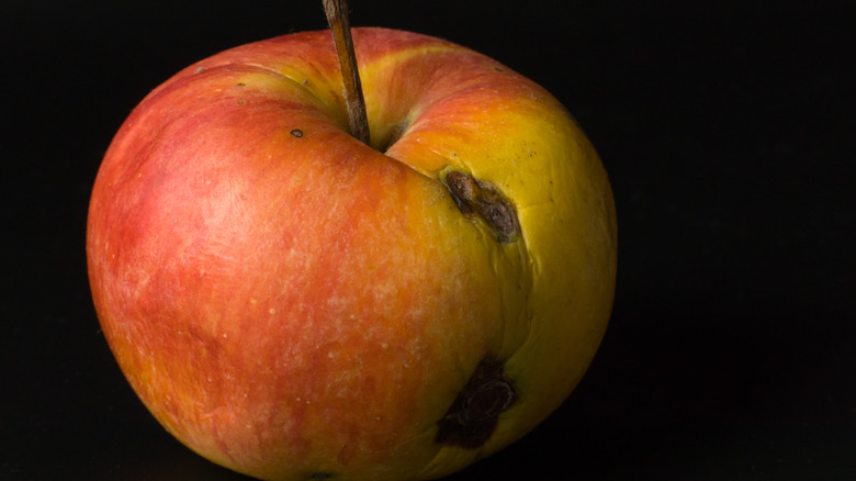 A red and yellow apple with bruises