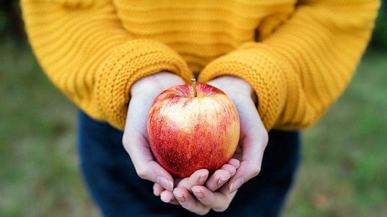 A red apple held by a person in a yellow sweater