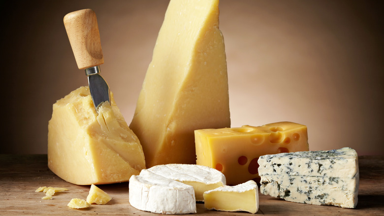 selection of cheeses spread out on wood