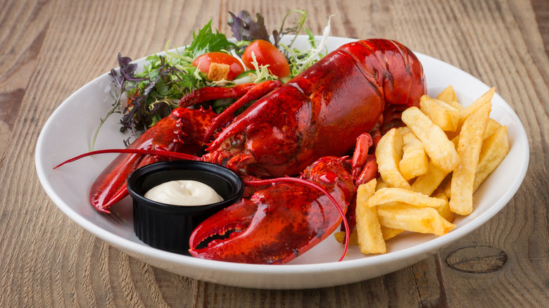 Whole cooked lobster on a plate with fries and salad