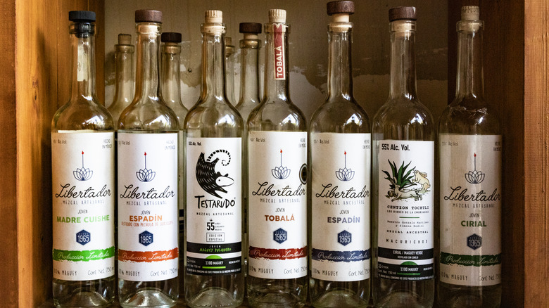 bottles of artisanal mezcal on shelf