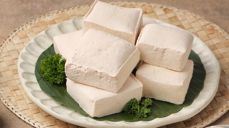 Plain tofu on a white plate with greenery