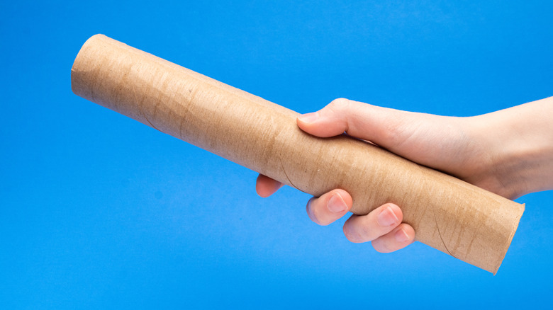 Hand holding paper towel tube