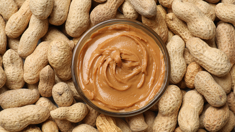 A bowl of peanut butter surrounded by peanuts