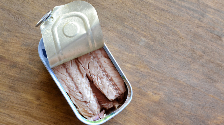 A partially opened can of anchovies