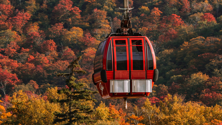 Stowe resort gondola with autumn trees behind