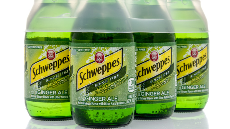 Four bottles of Schweppes Ginger Ale on a white background