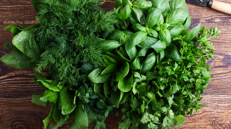 a big bunch of various fresh herbs