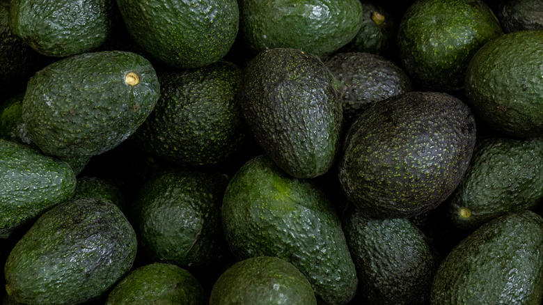 Pile of Hass avocados