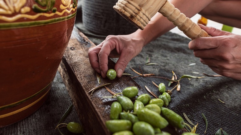 Crushing olives to prepare for curing