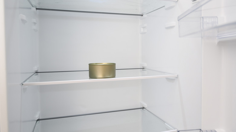 unlabeled tin can in an otherwise empty fridge