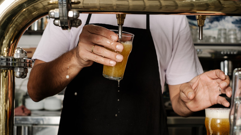 Bartender in black apron filling small glass of beer from tap