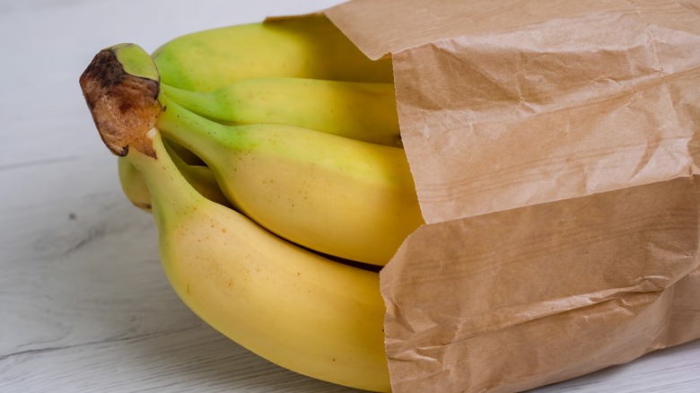 bananas halfway in a brown paper bag