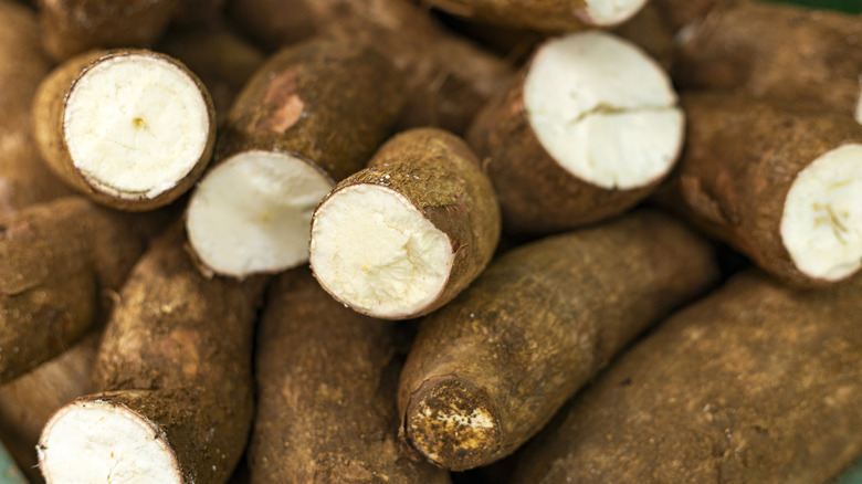 Cassava root, from which tapioca beads or boba pearls are made