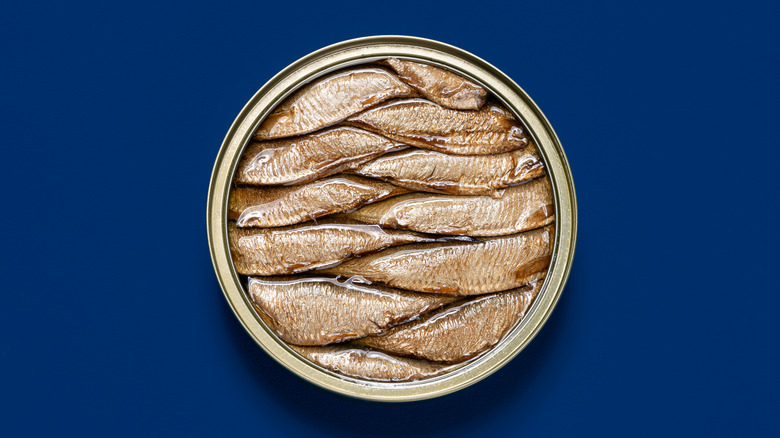 Open can of sardines