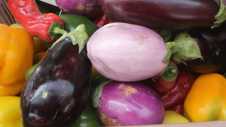 Variety of eggplants in different colors and sizes.