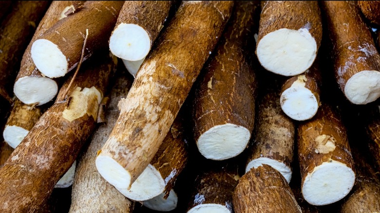 Raw yuca root with white interior showing