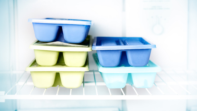 Five ice cube trays in a freezer