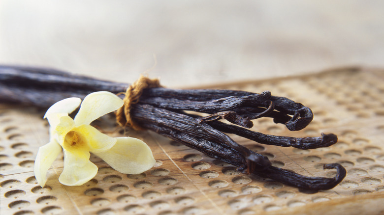 A bundle of vanilla pods used to make ice cream