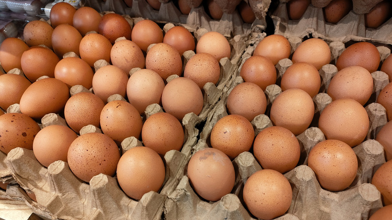 eggs in carton