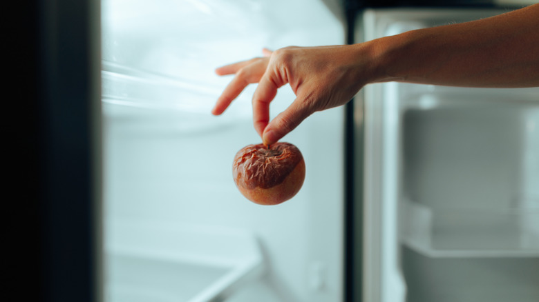 A person holding a moldy piece of fruit in front of their open fridge