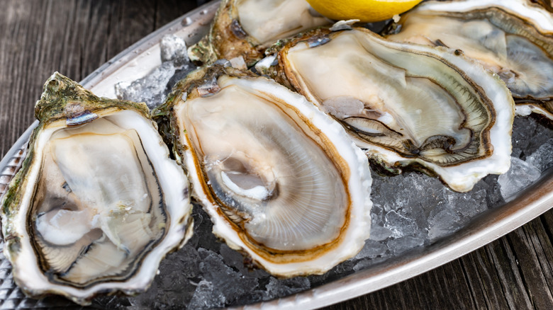 Oysters on ice