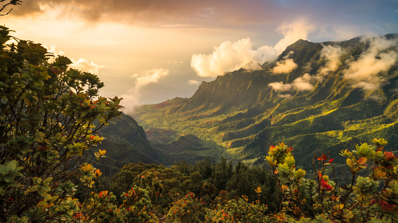 A volcanic valley in Kauai island, Hawaii