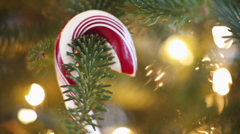 candy cane hung on Christmas tree