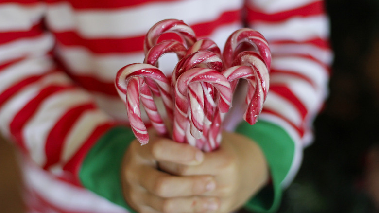 person in a red and white striped sweater holding a bunch of candy canes