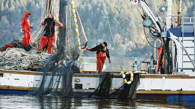 Fishermen on a boat putting nets in the water