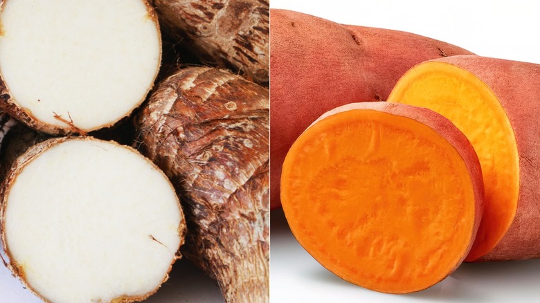 yams and sweet potato cross section