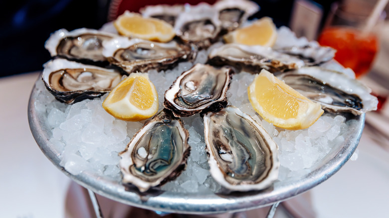 Plate of oysters