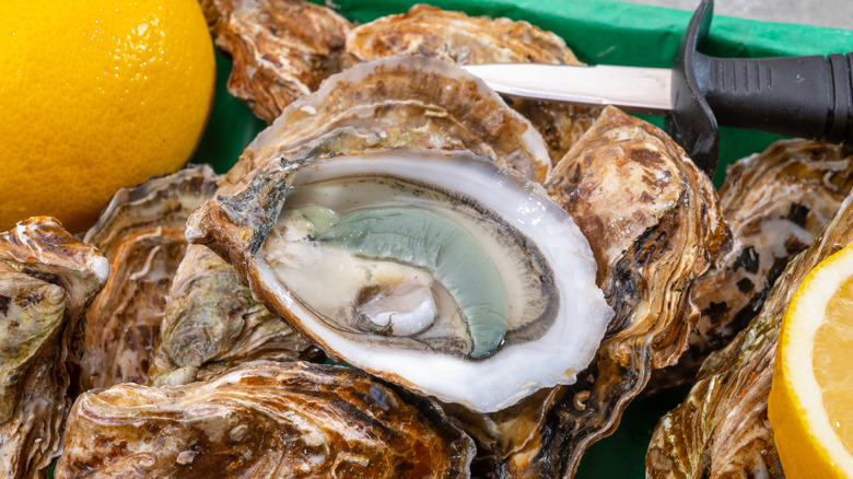 French green gill oysters