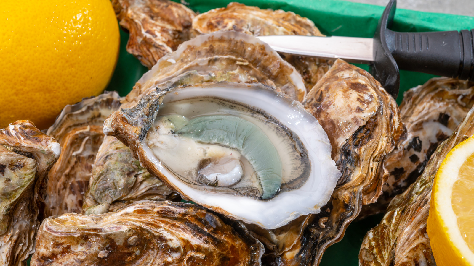 What Makes North Carolina Gill Oysters So Green?