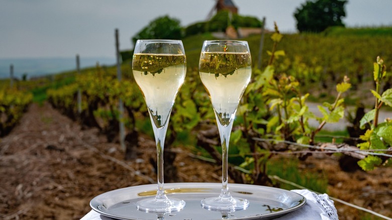 Two glasses of champagne presented on a table in a green area.