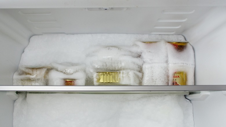 canned food thats been frozen in fridge