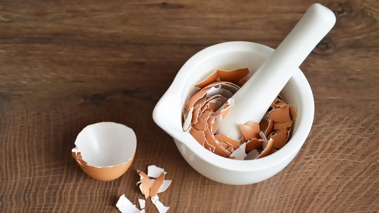 eggshells in mortar and pestle