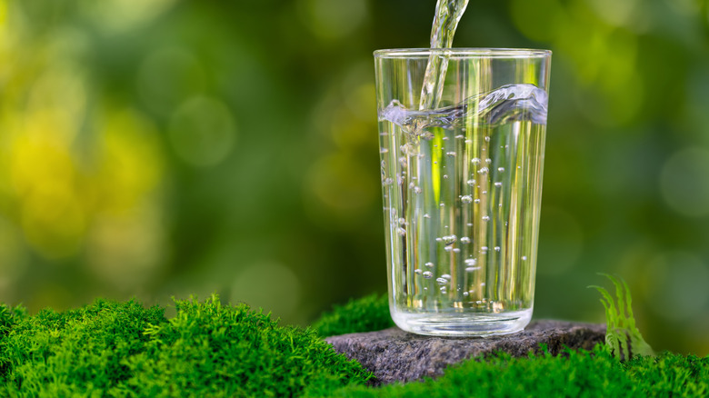 water being poured into glass set on a stone and surrounded by moss