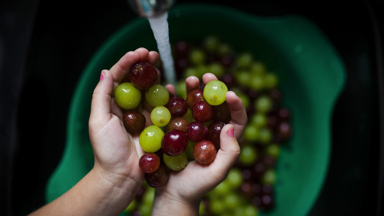 Hands holding red and green grapes under faucet