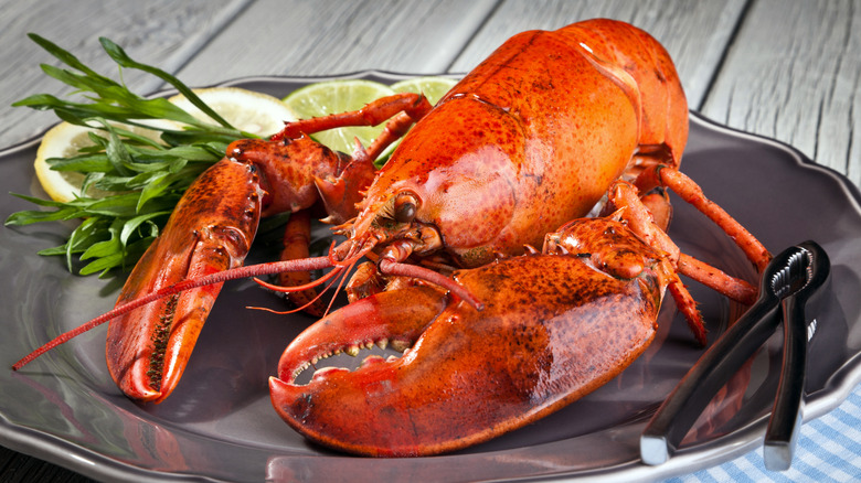 A full lobster on a silver plate with lemons and green garnishes