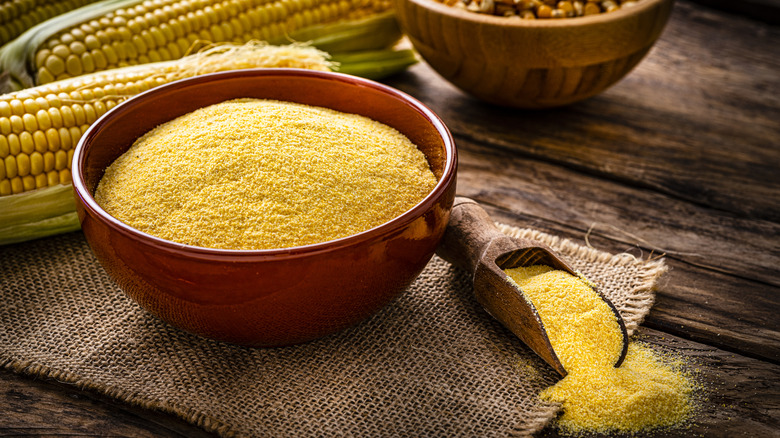 Cornmeal can make for a fun new baked good, but it doesn't have the same flavor as corn powder