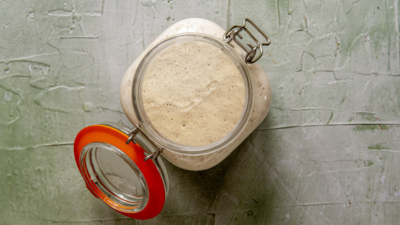 An overhead shot of a sourdough starter inside a jar.